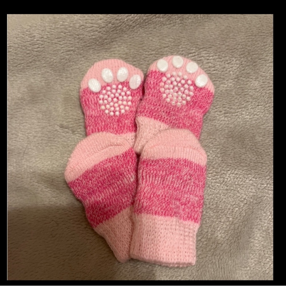 Dog socks 🆕 - Picture 2 of 4